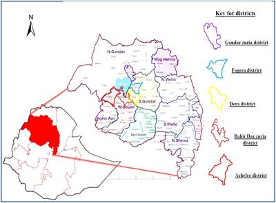 Evaluation of the breeding practices and population trend of the Fogera cattle breed in Ethiopia